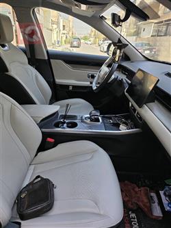 جيتور داشينج